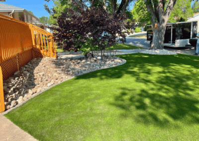 Family friendly turf